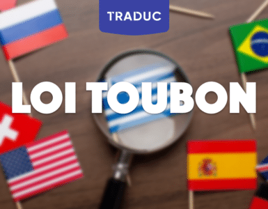 loi-toubon